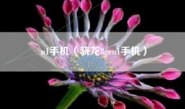 n1手机（骁龙8gen1手机）