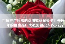 百度推广所需的费用究竟是多少？开展一年的百度推广大概需要投入多少钱？