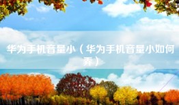华为手机音量小（华为手机音量小如何弄）