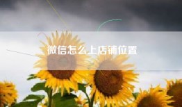 微信怎么上店铺位置