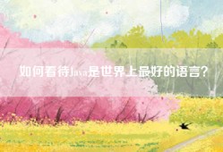 如何看待Java是世界上最好的语言？
