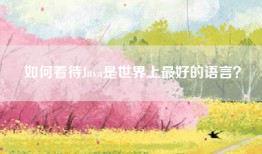 如何看待Java是世界上最好的语言？