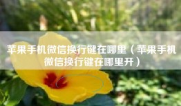 苹果手机微信换行键在哪里（苹果手机微信换行键在哪里开）