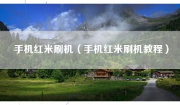 手机红米刷机（手机红米刷机教程）