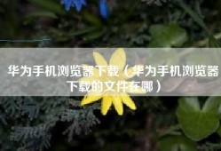 华为手机浏览器下载（华为手机浏览器下载的文件在哪）