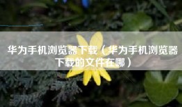 华为手机浏览器下载（华为手机浏览器下载的文件在哪）