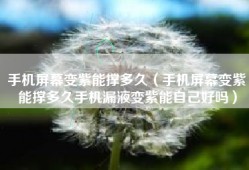 手机屏幕变紫能撑多久（手机屏幕变紫能撑多久手机漏液变紫能自己好吗）