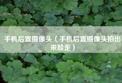 手机后置摄像头（手机后置摄像头拍出来脸歪）