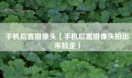 手机后置摄像头（手机后置摄像头拍出来脸歪）