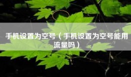 手机设置为空号（手机设置为空号能用流量吗）
