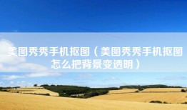 美图秀秀手机抠图（美图秀秀手机抠图怎么把背景变透明）