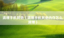 清理手机其他（清理手机其他内存怎么清理）
