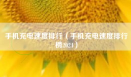 手机充电速度排行（手机充电速度排行榜2024）