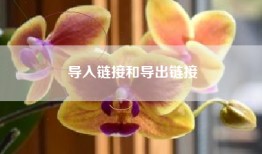 导入链接和导出链接