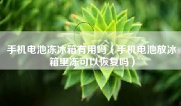 手机电池冻冰箱有用吗（手机电池放冰箱里冻可以恢复吗）