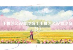 手机怎么设置浮窗（手机怎么设置浮窗台）