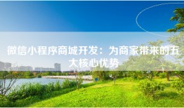 微信小程序商城开发：为商家带来的五大核心优势