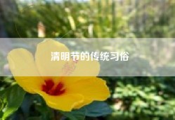 清明节的传统习俗