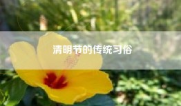 清明节的传统习俗