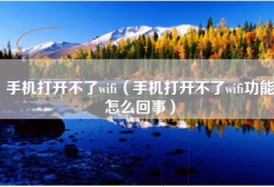 手机打开不了wifi（手机打开不了wifi功能怎么回事）