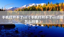 手机打开不了wifi（手机打开不了wifi功能怎么回事）