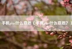 手机plus什么意思（手机plus什么意思？）