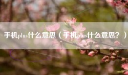手机plus什么意思（手机plus什么意思？）