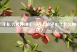 手机卡被停用（手机卡被停用了怎么解决）
