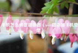 手机怎么绑定路由器（user路由器手机登录）