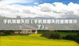 手机屏幕失控（手机屏幕失控是哪里坏了）