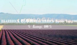 BEARBRICK 积木熊BE@RBRICK Buddy Lee 100％ & 400％