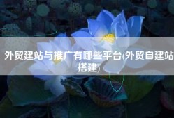 外贸建站与推广有哪些平台(外贸自建站搭建)