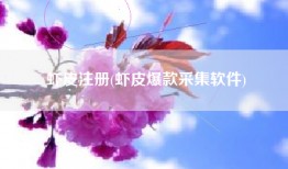 虾皮注册(虾皮爆款采集软件)