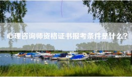 心理咨询师资格证书报考条件是什么？