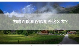 为啥百度和谷歌相差这么大？