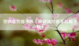 空调遥控器手机（空调遥控器手机版下载）