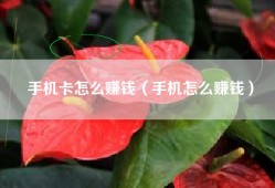 手机卡怎么赚钱（手机怎么赚钱）