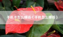 手机卡怎么赚钱（手机怎么赚钱）