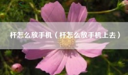 杆怎么放手机（杆怎么放手机上去）