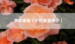 手机重量（手机重量多少）