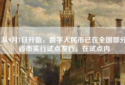 从9月1日开始，数字人民币已在全国部分省市实行试点发行，在试点内