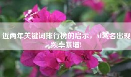 近两年关键词排行榜的启示，AI域名出现频率暴增!