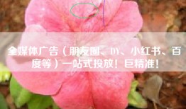 全媒体广告（朋友圈、DY、小红书、百度等）一站式投放！巨精准！