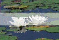 菜市场卖菜的利润有多少