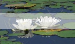 菜市场卖菜的利润有多少