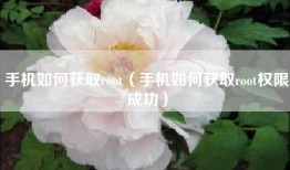 手机如何获取root（手机如何获取root权限成功）