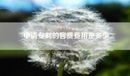 申请专利的官费费用是多少