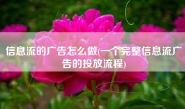 信息流的广告怎么做(一个完整信息流广告的投放流程)
