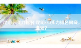昆明seo实力排名 昆明SEO实力排名揭晓，谁领？