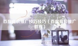 百度竞价推广技巧技巧（百度竞价推广教程）